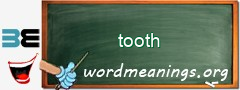 WordMeaning blackboard for tooth